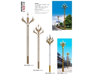 泰安中华灯定制