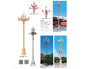 泰安中华灯厂家